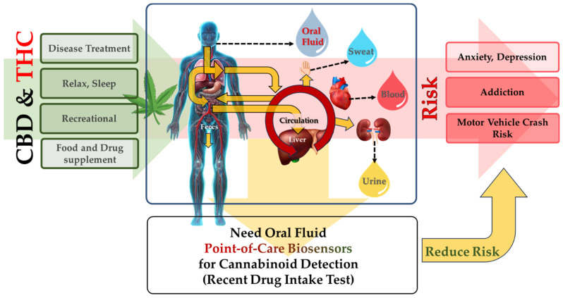 PMC10968443 – biosensors-14-00126-f001