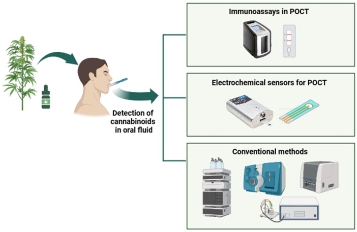 PMC10968443 – biosensors-14-00126-f002