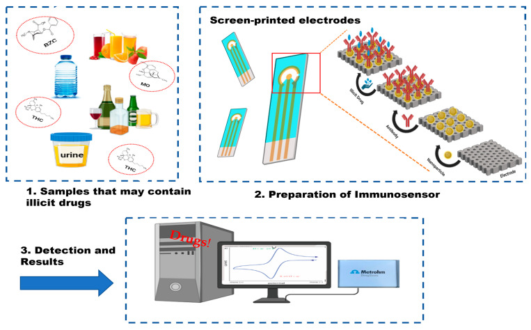 PMC11506482 – biosensors-14-00477-f002