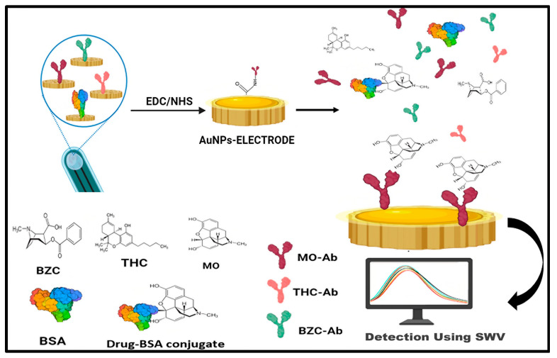 PMC11506482 – biosensors-14-00477-f004