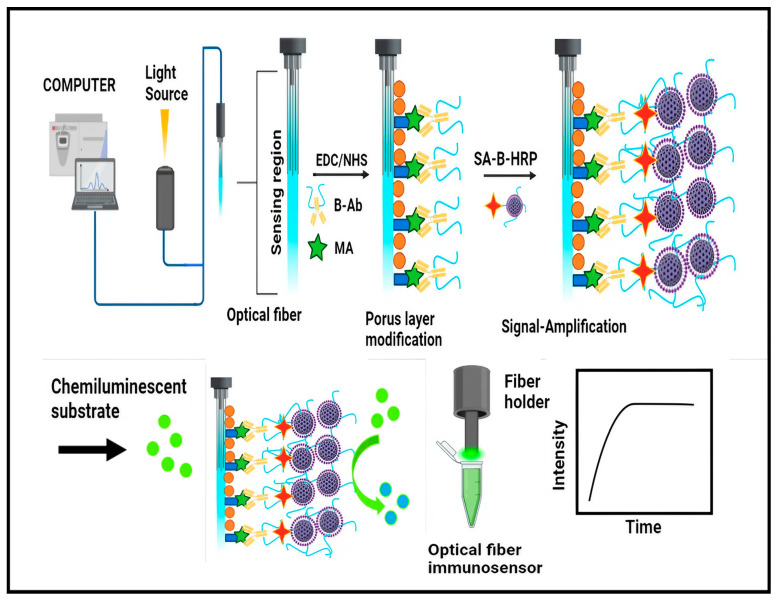 PMC11506482 – biosensors-14-00477-f005