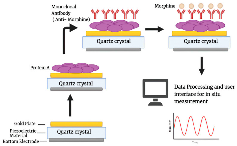 PMC11506482 – biosensors-14-00477-f006