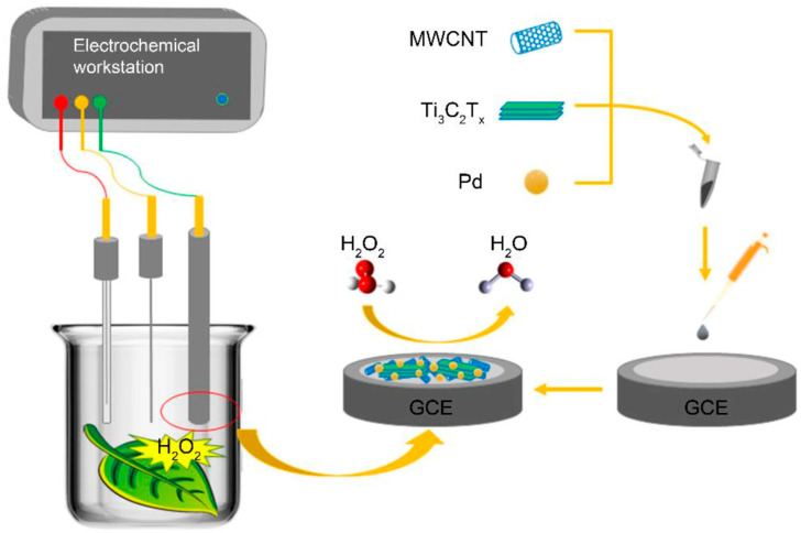 PMC12938242 – biosensors-16-00107-f004