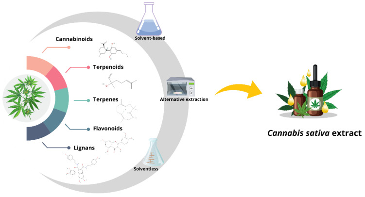 PMC11674990 – biotech-13-00053-f002