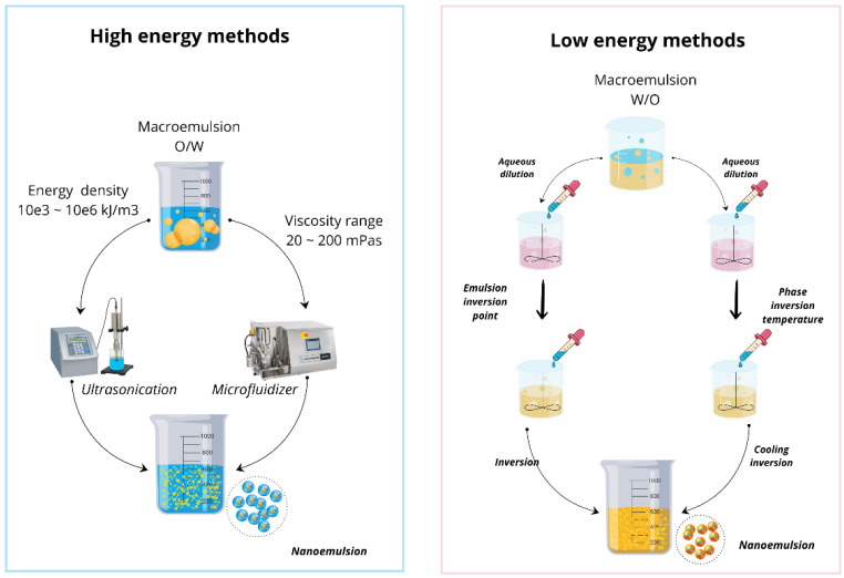 PMC11674990 – biotech-13-00053-f003