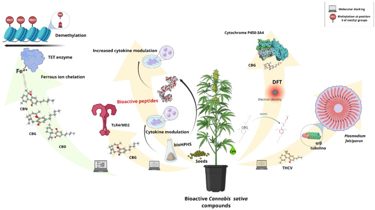 PMC11674990 – biotech-13-00053-f007