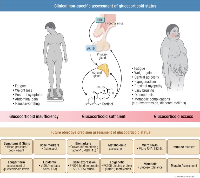 PMC11581704 – bnae016-bnae016_ga