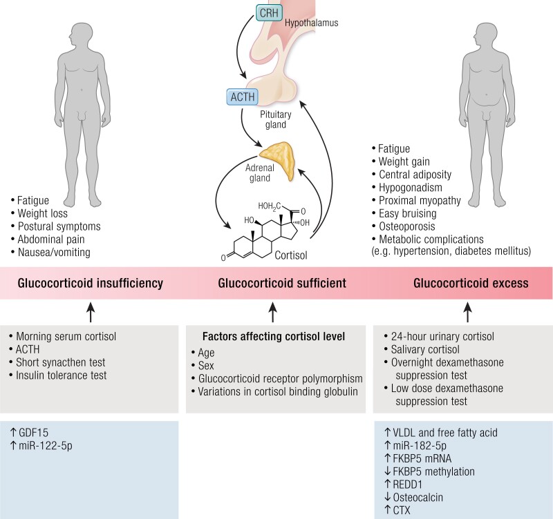 PMC11581704 – bnae016-F1