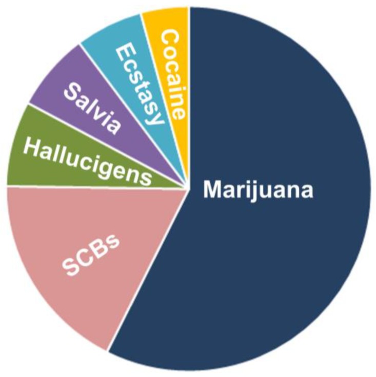 PMC6357179 – brainsci-09-00014-f001