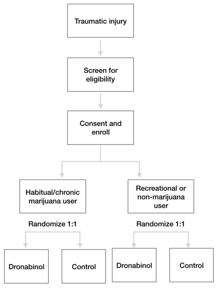 PMC7139558 – brainsci-10-00161-f001