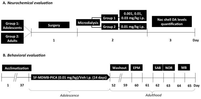 PMC7766979 – brainsci-10-01011-f002