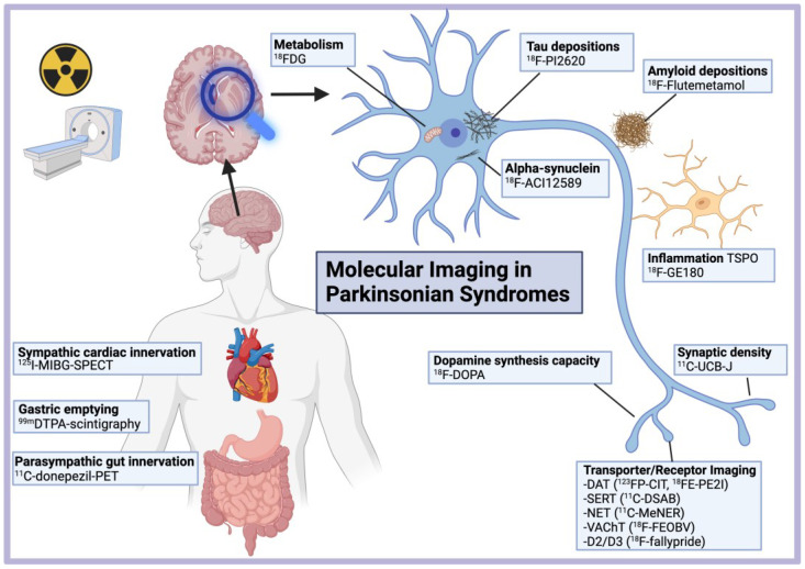 PMC9496752 – brainsci-12-01146-f001