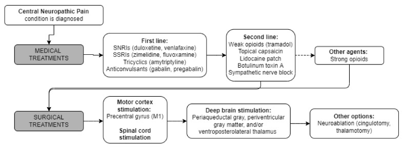 PMC9775950 – brainsci-12-01727-f001