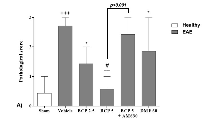 PMC10377147 – brainsci-13-01092-f003