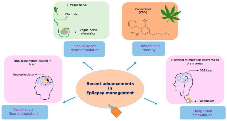 PMC10527076 – brainsci-13-01305-f001