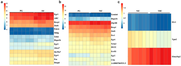 PMC10670019 – brainsci-13-01556-f001