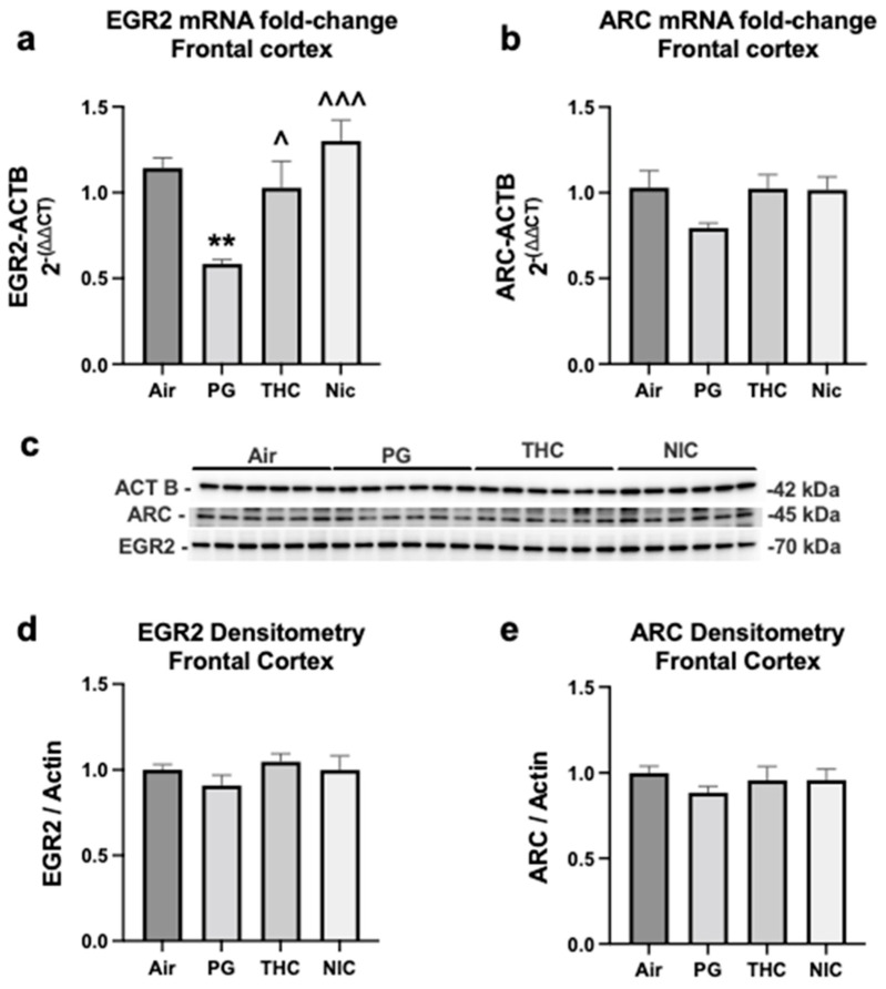 PMC10670019 – brainsci-13-01556-f002