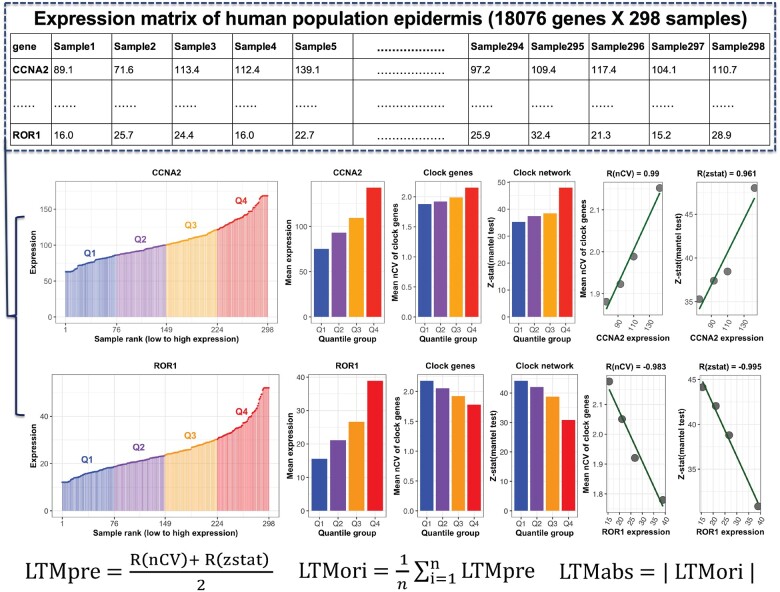 PMC9750125 – btac686-F1