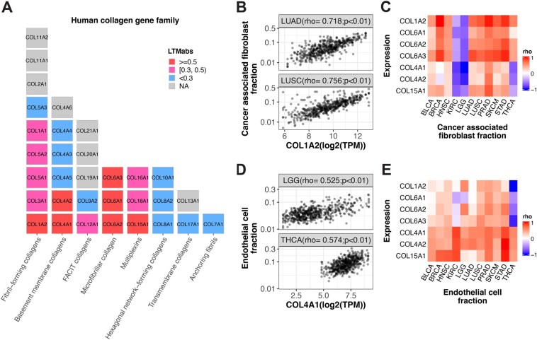 PMC9750125 – btac686-F4