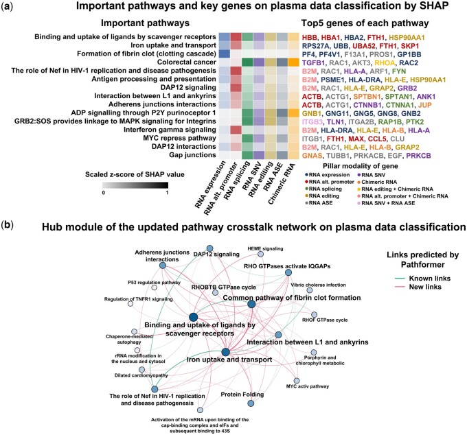 PMC11139513 – btae316-F5