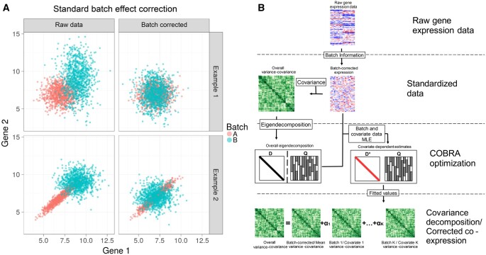 PMC11441315 – btae531-F1
