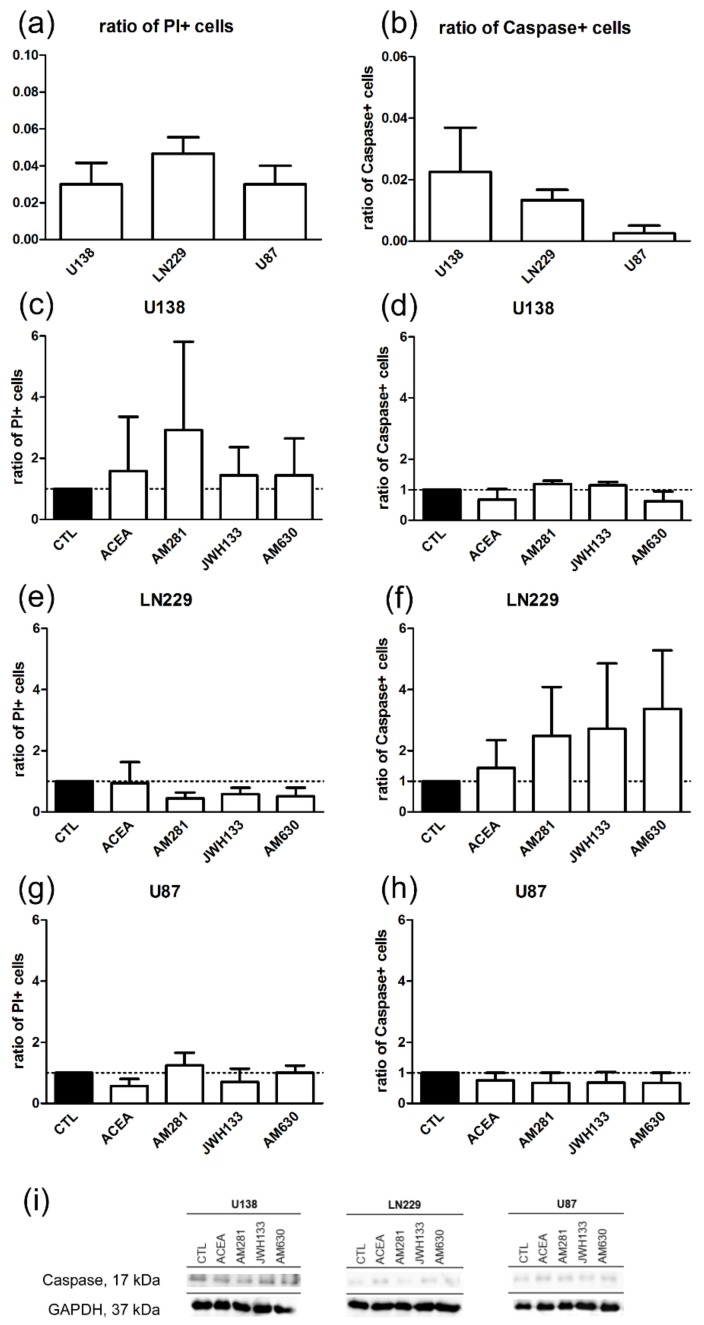 PMC6406558 – cancers-11-00161-f003