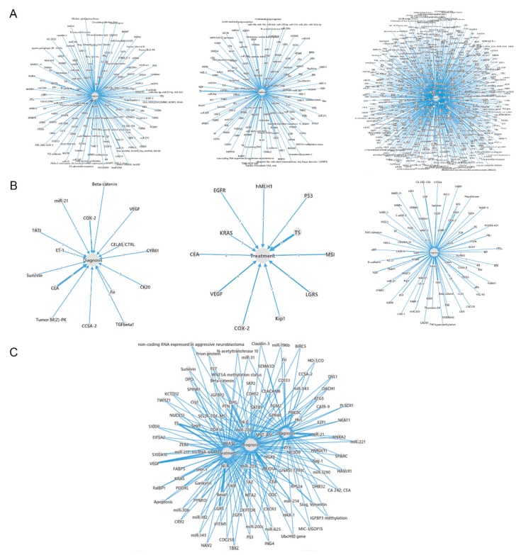 PMC6407036 – cancers-11-00172-f001