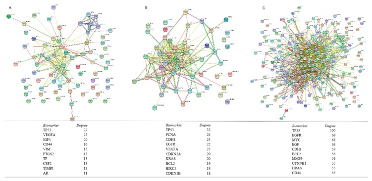 PMC6407036 – cancers-11-00172-f002
