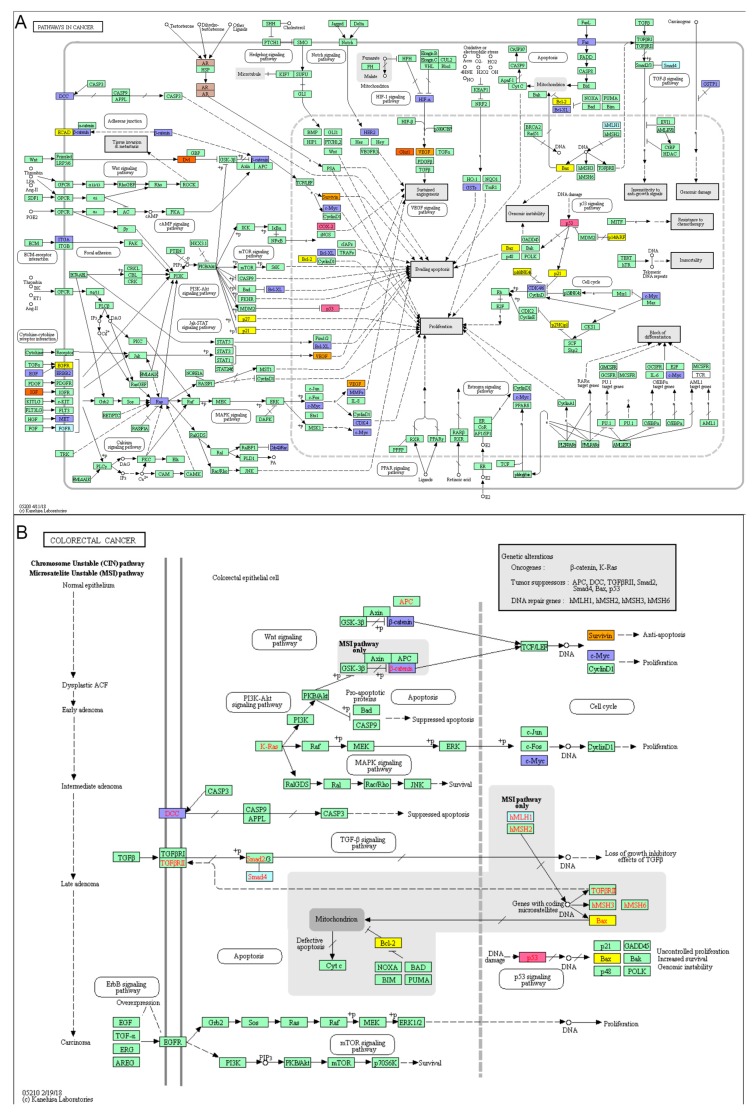 PMC6407036 – cancers-11-00172-f003