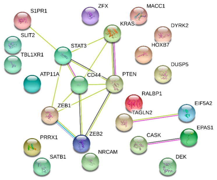 PMC6407036 – cancers-11-00172-f006