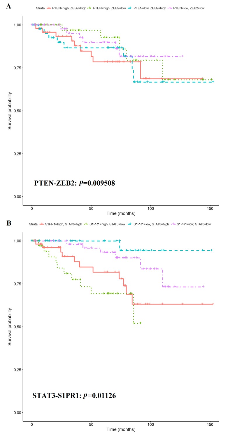 PMC6407036 – cancers-11-00172-f008