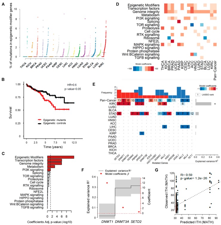 PMC6468518 – cancers-11-00391-f002