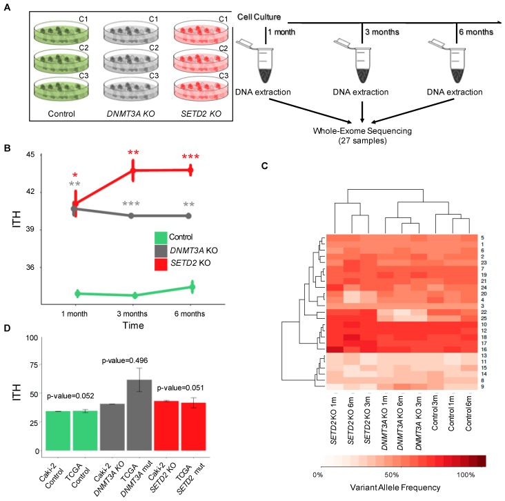 PMC6468518 – cancers-11-00391-f004