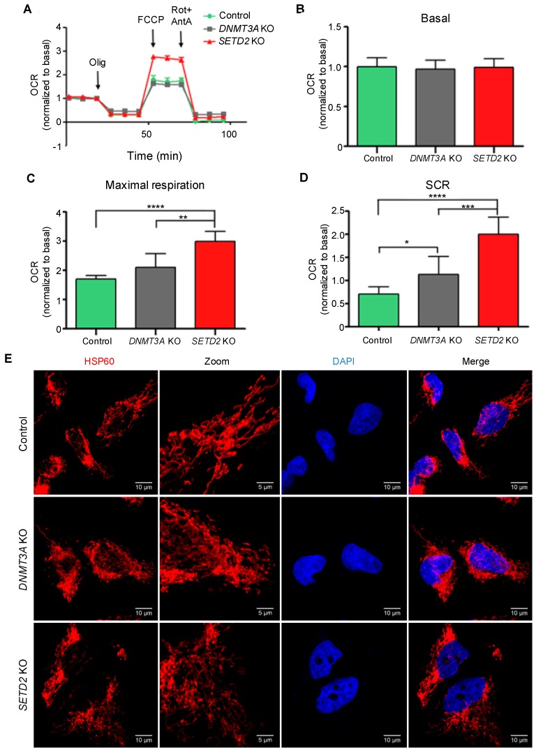 PMC6468518 – cancers-11-00391-f005