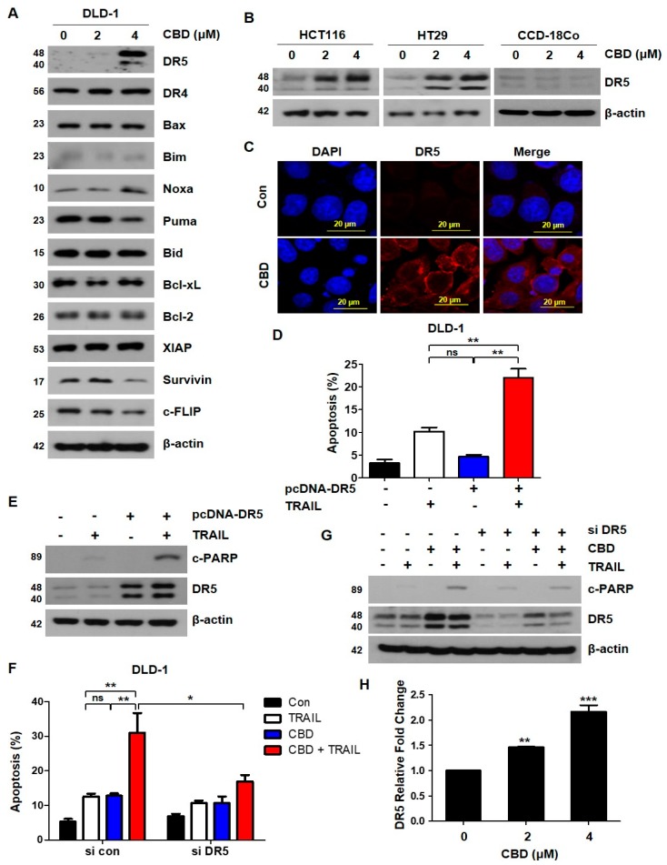 PMC6562873 – cancers-11-00642-f003
