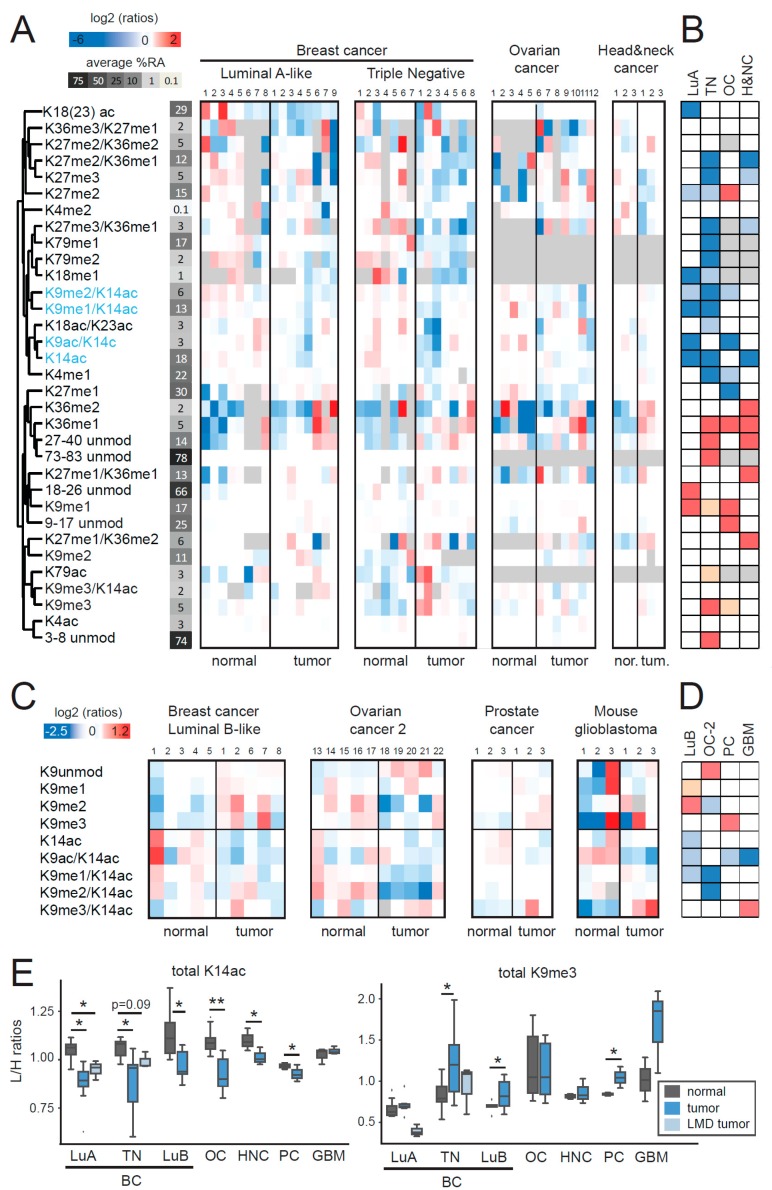 PMC6562406 – cancers-11-00723-f001