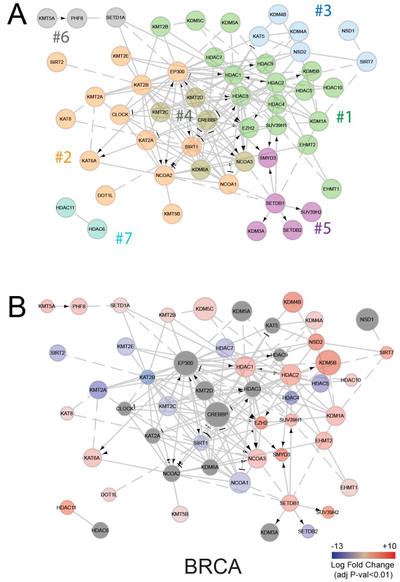PMC6562406 – cancers-11-00723-f004
