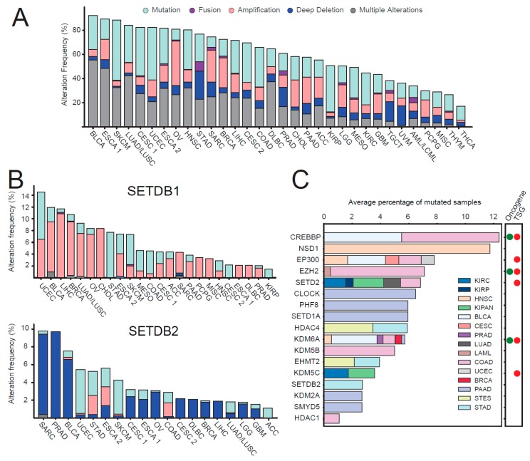 PMC6562406 – cancers-11-00723-f005