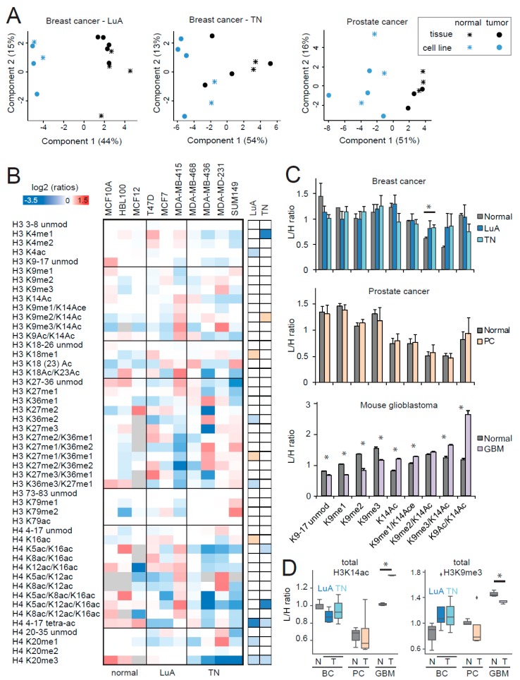 PMC6562406 – cancers-11-00723-f006
