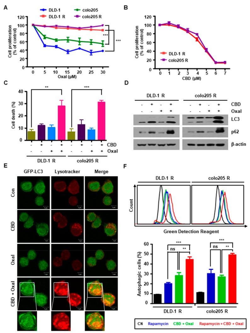 PMC6627455 – cancers-11-00781-f001