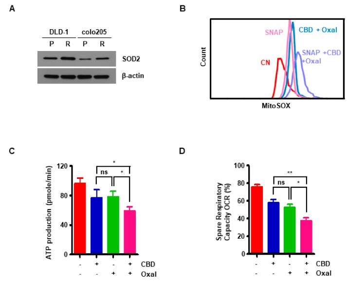 PMC6627455 – cancers-11-00781-f0A3