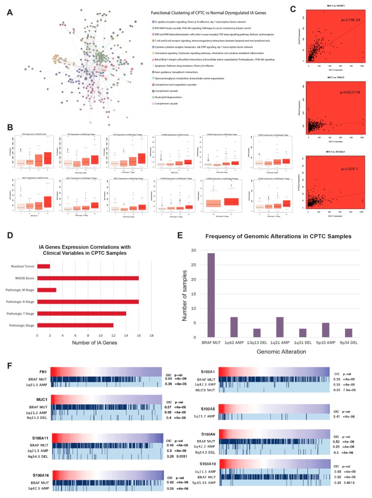 PMC6721495 – cancers-11-01179-f002