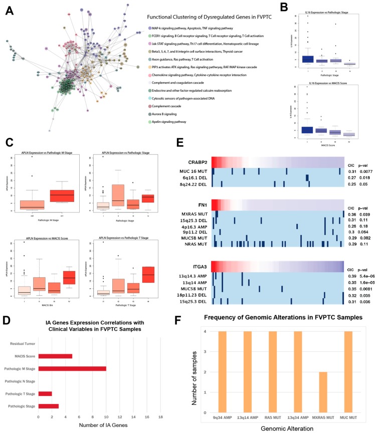 PMC6721495 – cancers-11-01179-f003