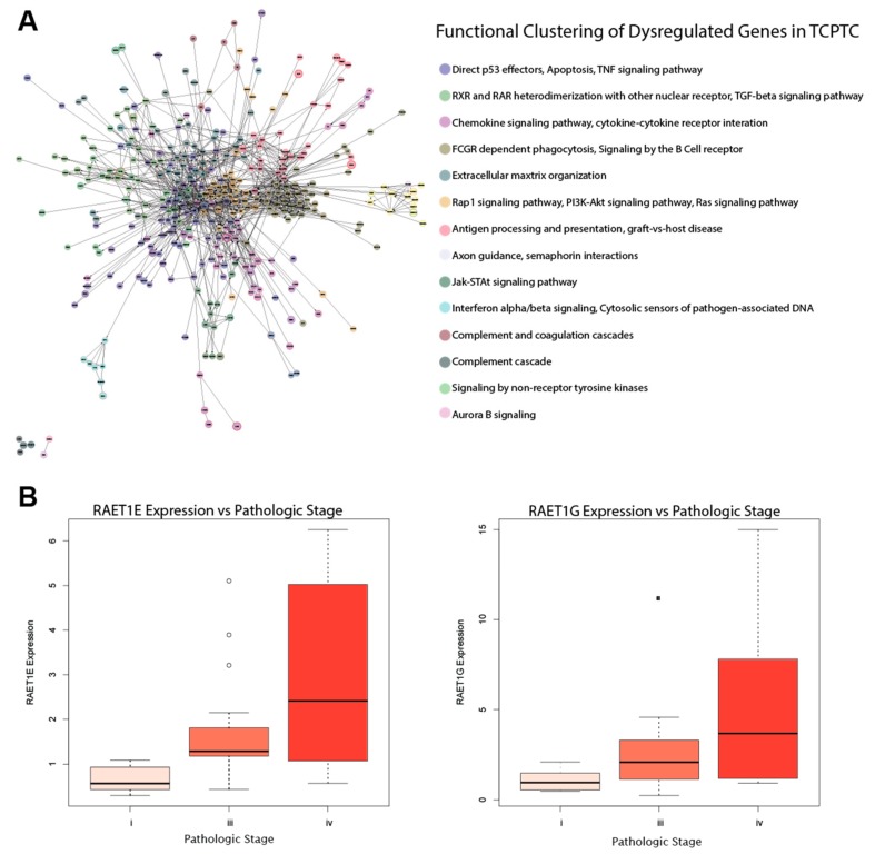 PMC6721495 – cancers-11-01179-f004