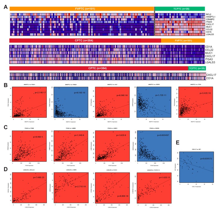 PMC6721495 – cancers-11-01179-f005