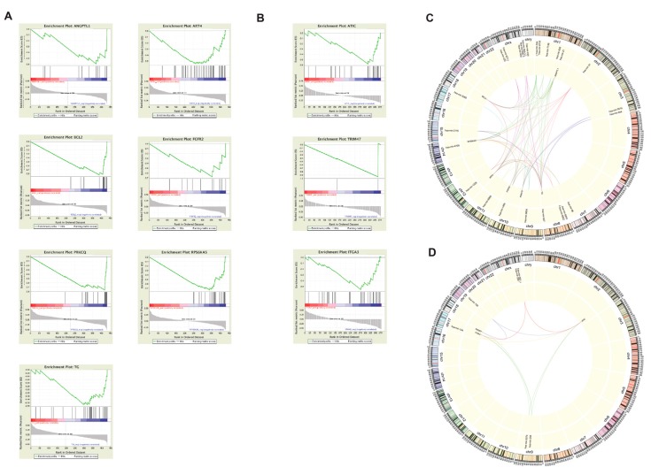 PMC6721495 – cancers-11-01179-f006