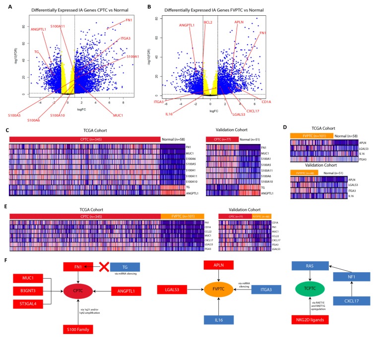 PMC6721495 – cancers-11-01179-f007