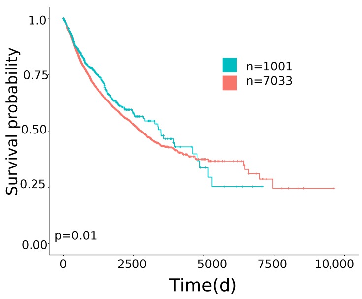 PMC6827166 – cancers-11-01562-f001
