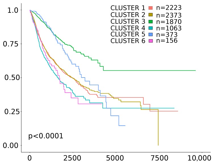 PMC6827166 – cancers-11-01562-f002