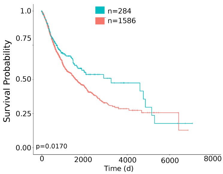 PMC6827166 – cancers-11-01562-f0A4